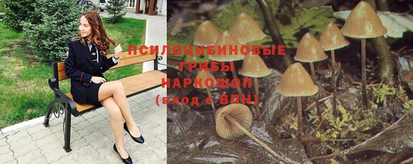 ешки Абинск