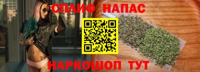 гидра Донецк