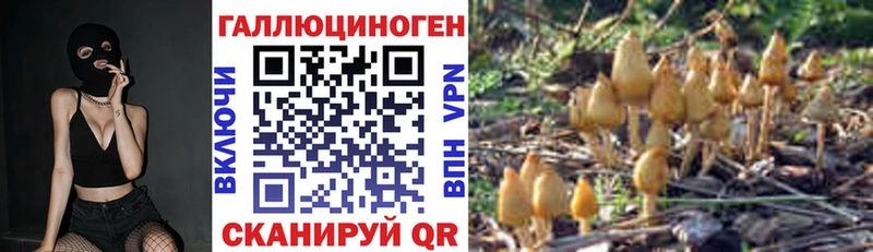 как найти закладки  Ржев  Галлюциногенные грибы GOLDEN TEACHER 