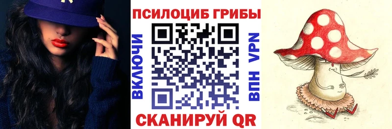 Галлюциногенные грибы Cubensis Ржев