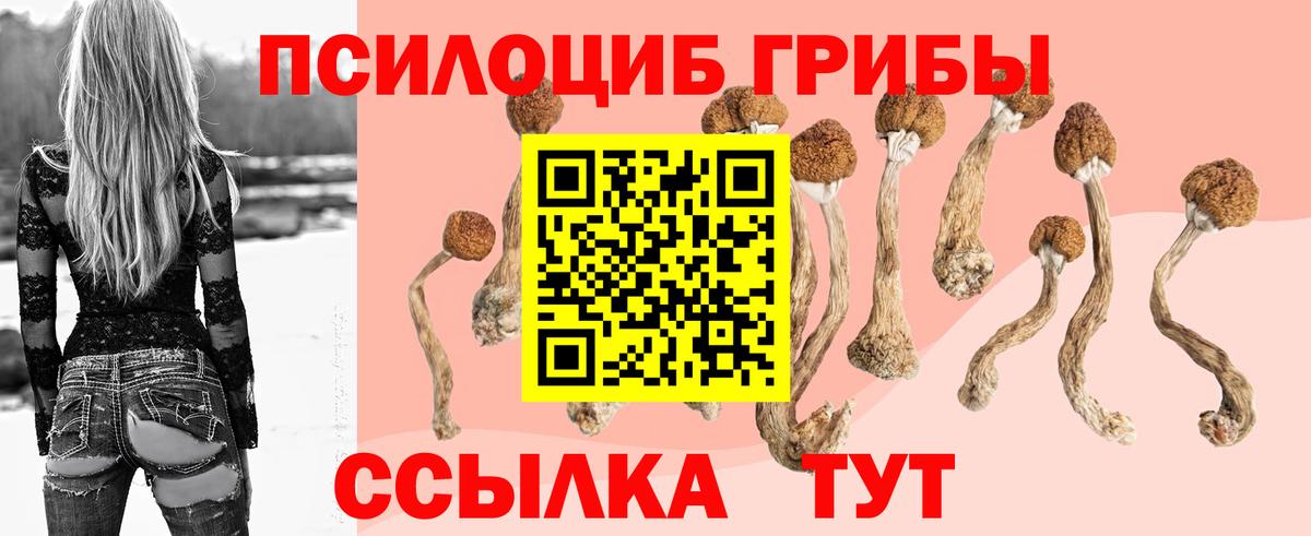 Галлюциногенные грибы Magic Shrooms  Вход с VPN  Ржев  Псилоцибиновые грибы мухоморы 